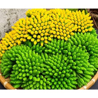 Nụ mai đất sét