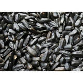 1kg hướng dương đen nhỏ dành cho các dòng chim, vẹt