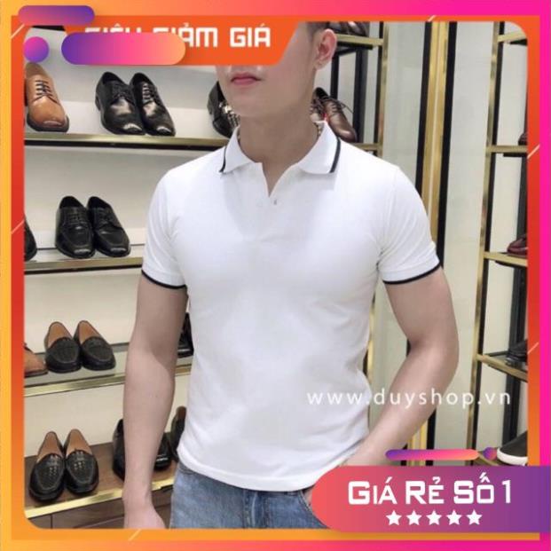 Siêu phẩm Áo Thun Nam Polo Trơn Cổ Viền - Dáng Ôm Body - Chất Thun Co Giãn Cực Tốt !!!!!