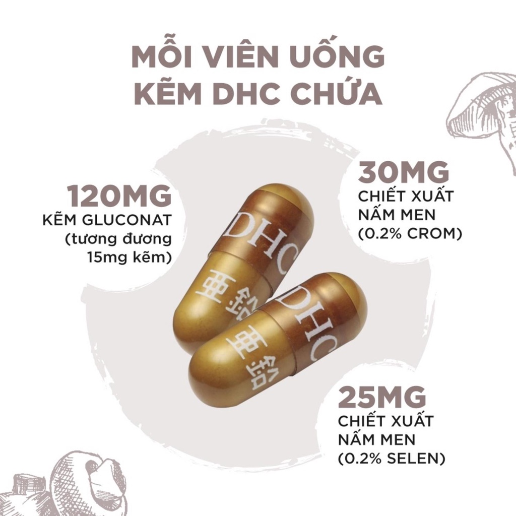 Combo Viên uống DHC Giảm Mụn Nóng Trong 30 Ngày (Kẽm &amp; Rau Củ) - Fidi Beauty