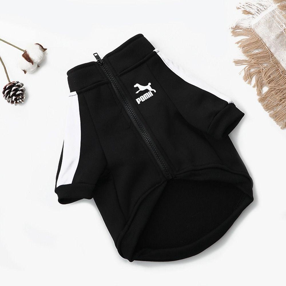 Áo Khoác Dày Mềm Mại Chống Gió Cho Chó Chihuahua