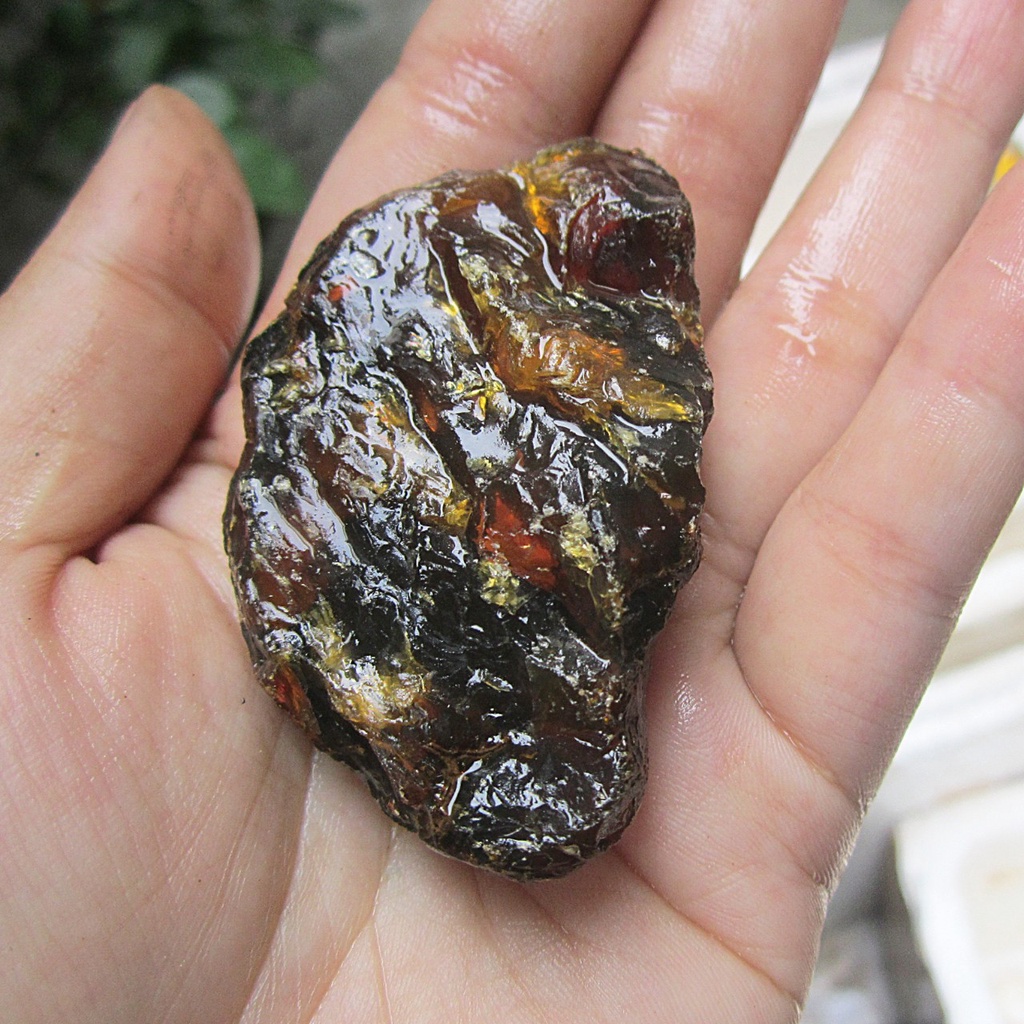 01 Viên Amber -  Hổ phách