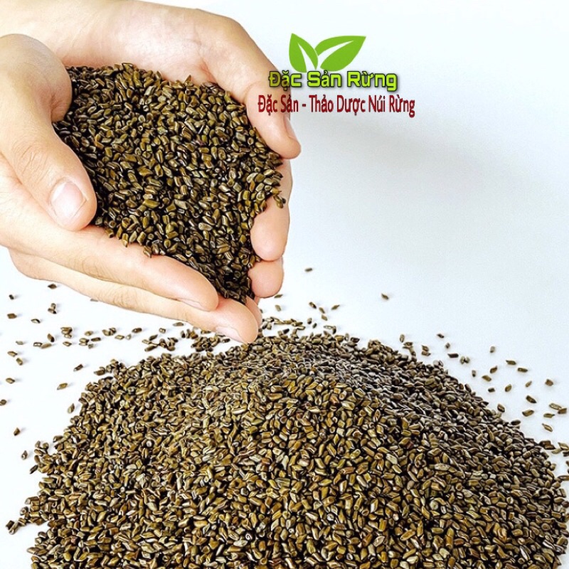 ( 1kg ) HẠT MUỒNG ( Thảo Quyết Minh ) ĐSR - Đã Rang Thơm Vỡ Vỏ