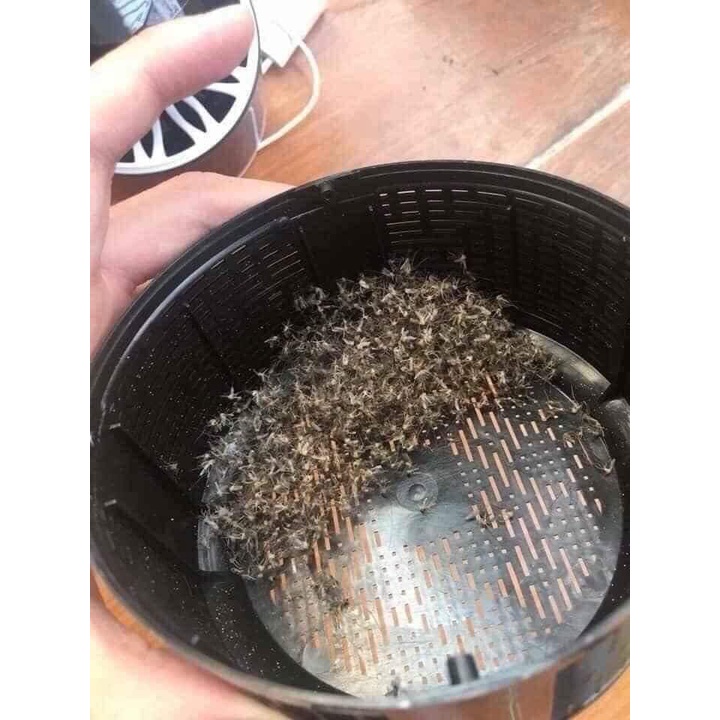 Đèn Bẫy Muỗi JT-Z01, Máy Thu Hút Côn Trùng Bay, Máy Bắt Muỗi Cao Cấp Công Nghệ Đèn LED, Đèn Bắt Muỗi Thông Minh shop sỉ