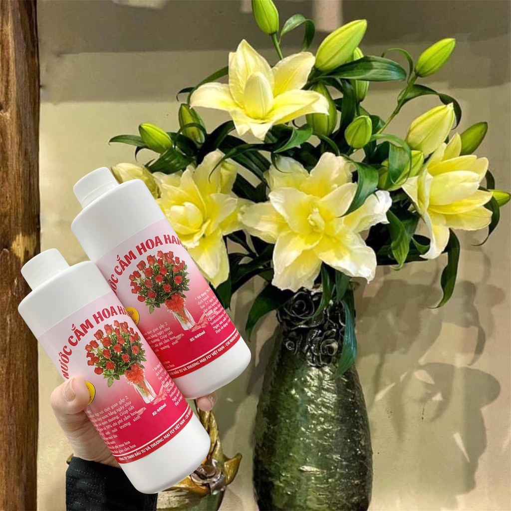 Chất dưỡng hoa tươi, giữ hoa lâu tàn