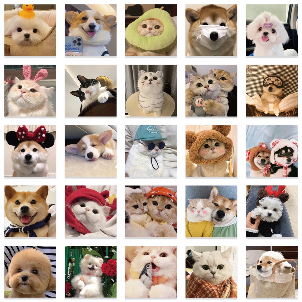 Bộ 52 Miếng Dán Họa Tiết Hoạt Hình Chó Mèo Vui Nhộn Trang Trí Nhật Ký / Laptop / Vali / Ván Trượt