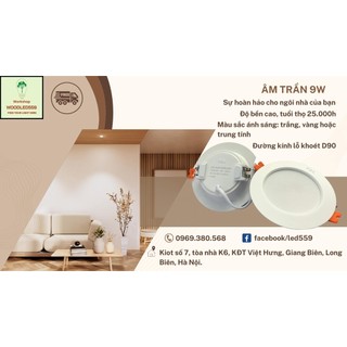 Đèn LED âm trần 9W, FSL, hàng chính hãng, ánh sáng trắng, vàng và trung tính.