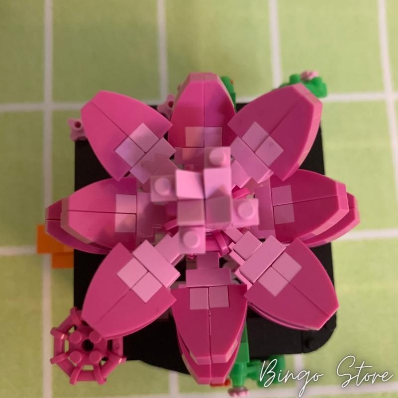 MÔ HÌNH LẮP RÁP CHẬU CÂY PENGUIN 562 CHI TIẾT