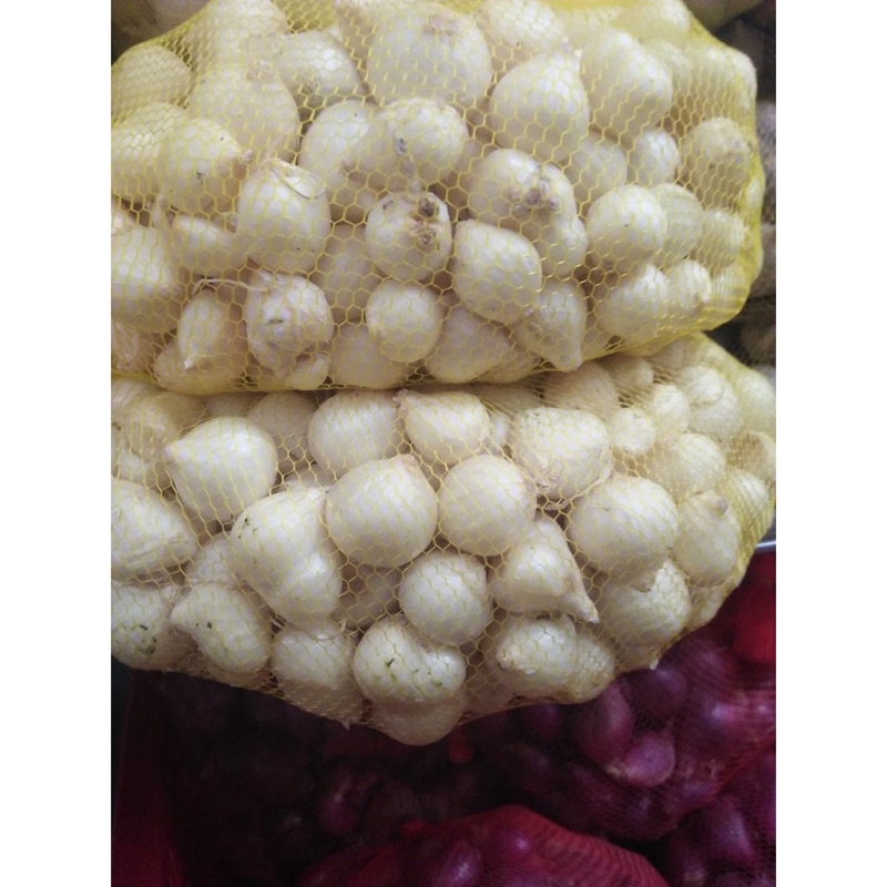 Củ nén hành tăm quảng nam túi lưới 500g