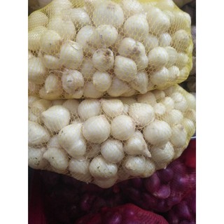 Củ nén hành tăm quảng nam túi lưới 500g