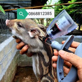 Xilanh tự động cắm chai ecomatic hsw 2 cc/5cc
