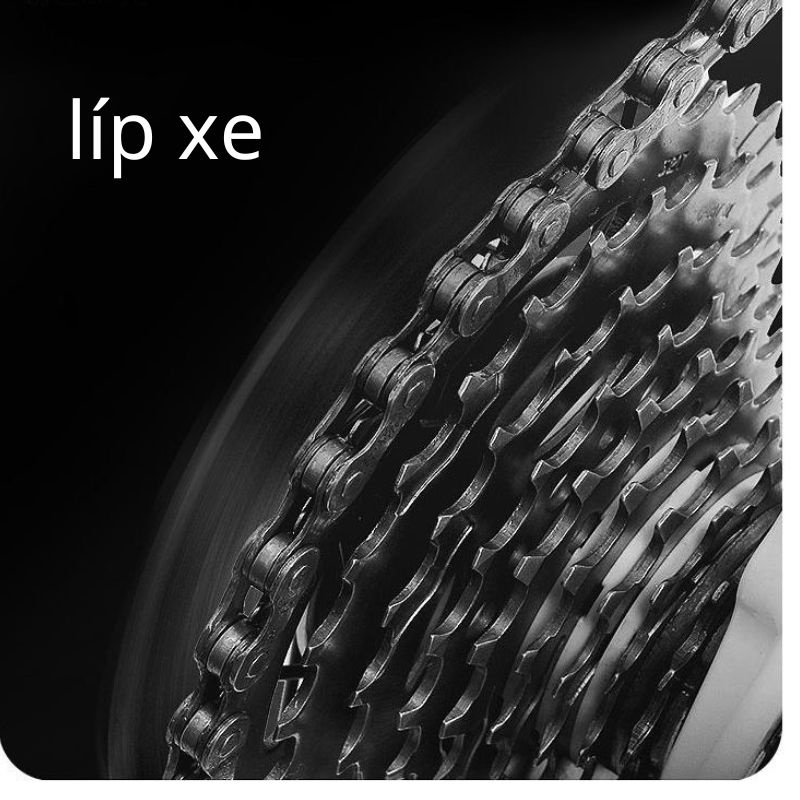 Xe đạp thể thao,xe đạp neo núi,xe đạp thay thẳng forever chính hãng