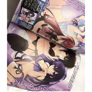 Light novel Nhật Date a live ( từ vol 17-22 + đặc biệt)