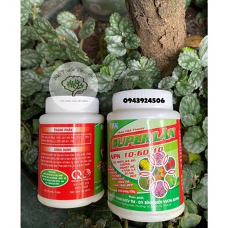 Siêu lân super lân npk 10 60 10 tạo mầm hoa hủ 100g