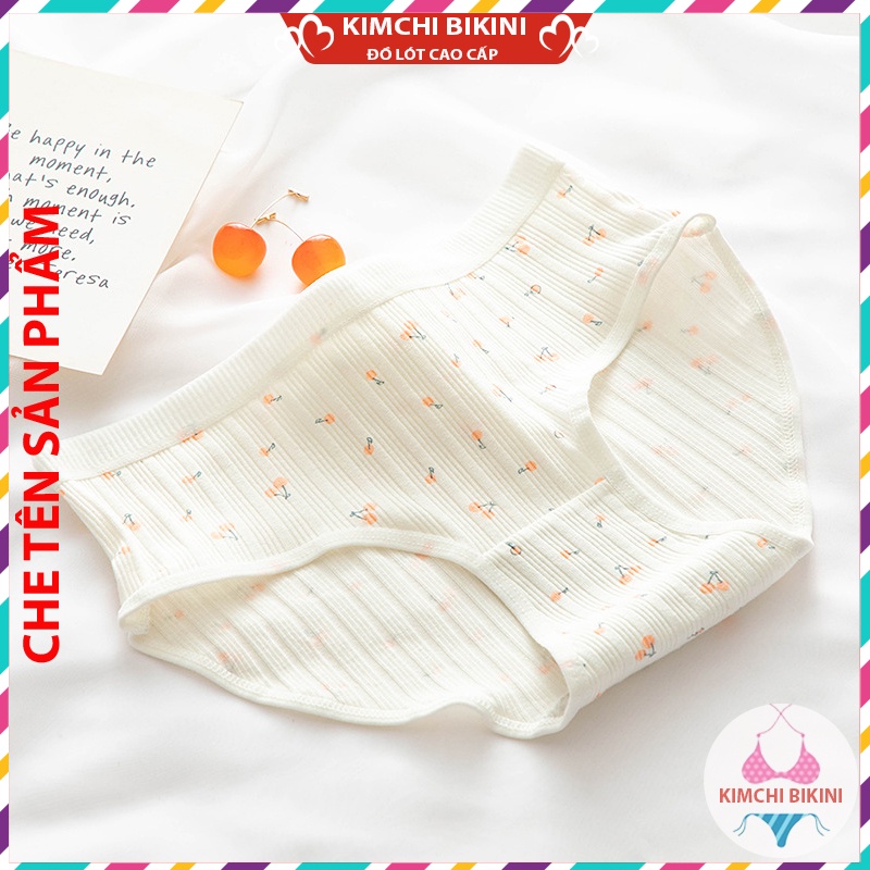Set 10 quần lót nữ cotton cạp to vải mềm KIMCHIBIKINI Combo 10 quần nót nữ dễ thương chống viêm QL039