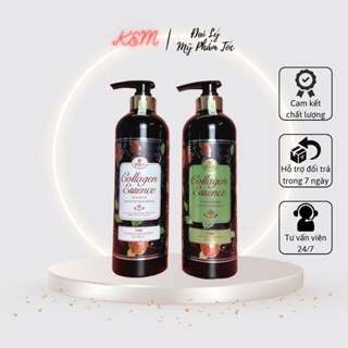 Dầu Gội xả cặp yody Essence Colagen