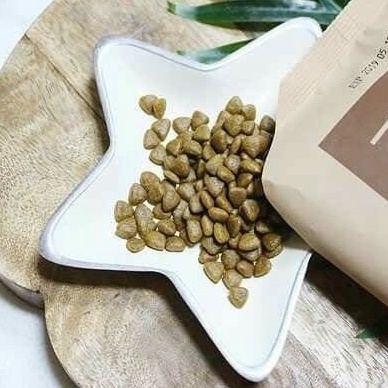 [2kg] [6kg] HẠT ANF CHO MÈO CON &amp; MÈO TRƯỞNG THÀNH ORGANIC 6 FREE