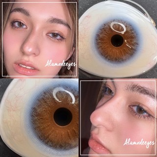 Lens xanh dương NEW