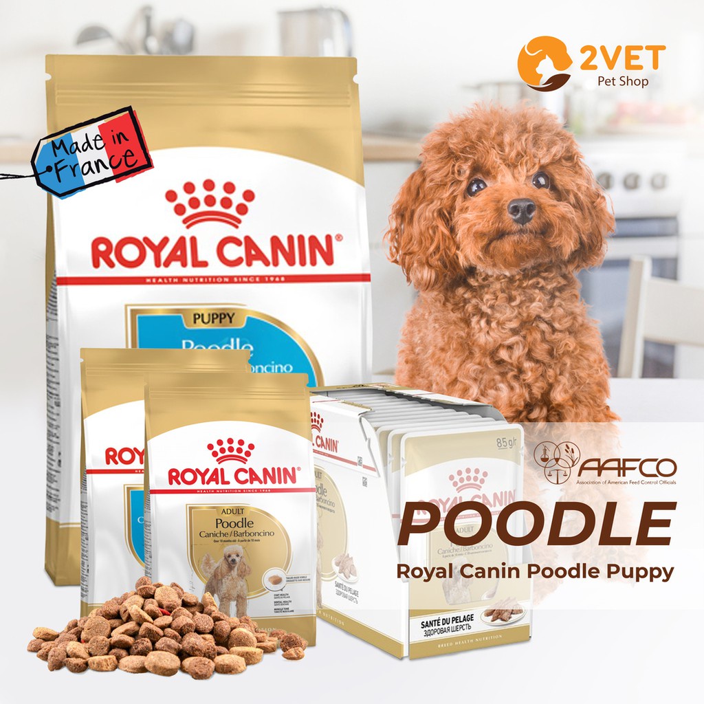 Đồ Ăn Khô Chó POODLE Royal Canin Poodle Puppy Adult Gói 1,5Kg