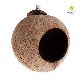 Tổ Chim Bằng Vỏ Dừa Độc Đáo