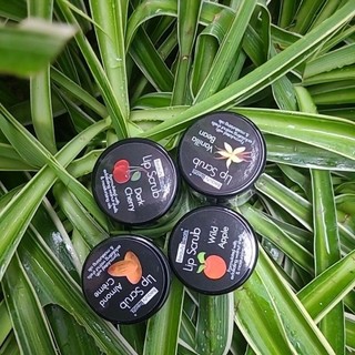 Tẩy da chết cho môi Beauty Treats Lip Scrub