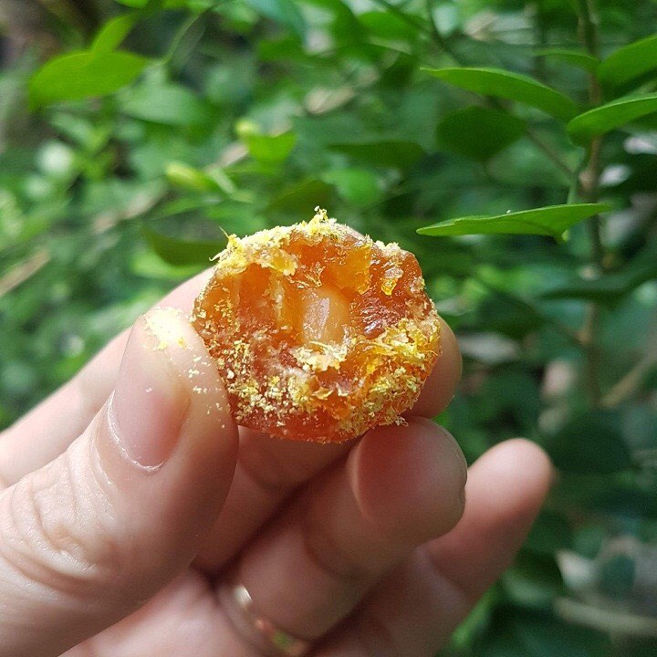 500G Ô MAI MƠ NHO GỪNG SẤY DẺO