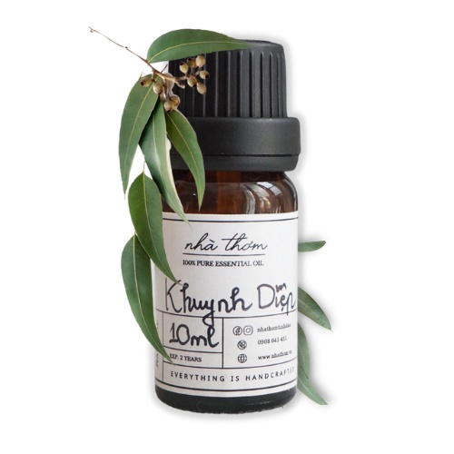 TINH DẦU KHUYNH DIỆP - Eucalyptus essential oil