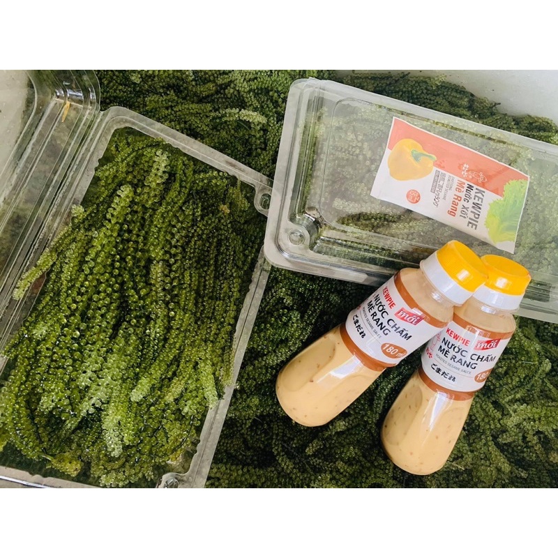 Rong nho tươi Bình Thạnh