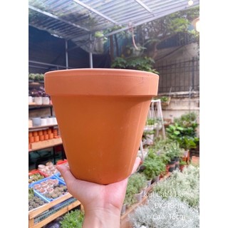 Chậu đất nung trồng cây size to 18x16cm