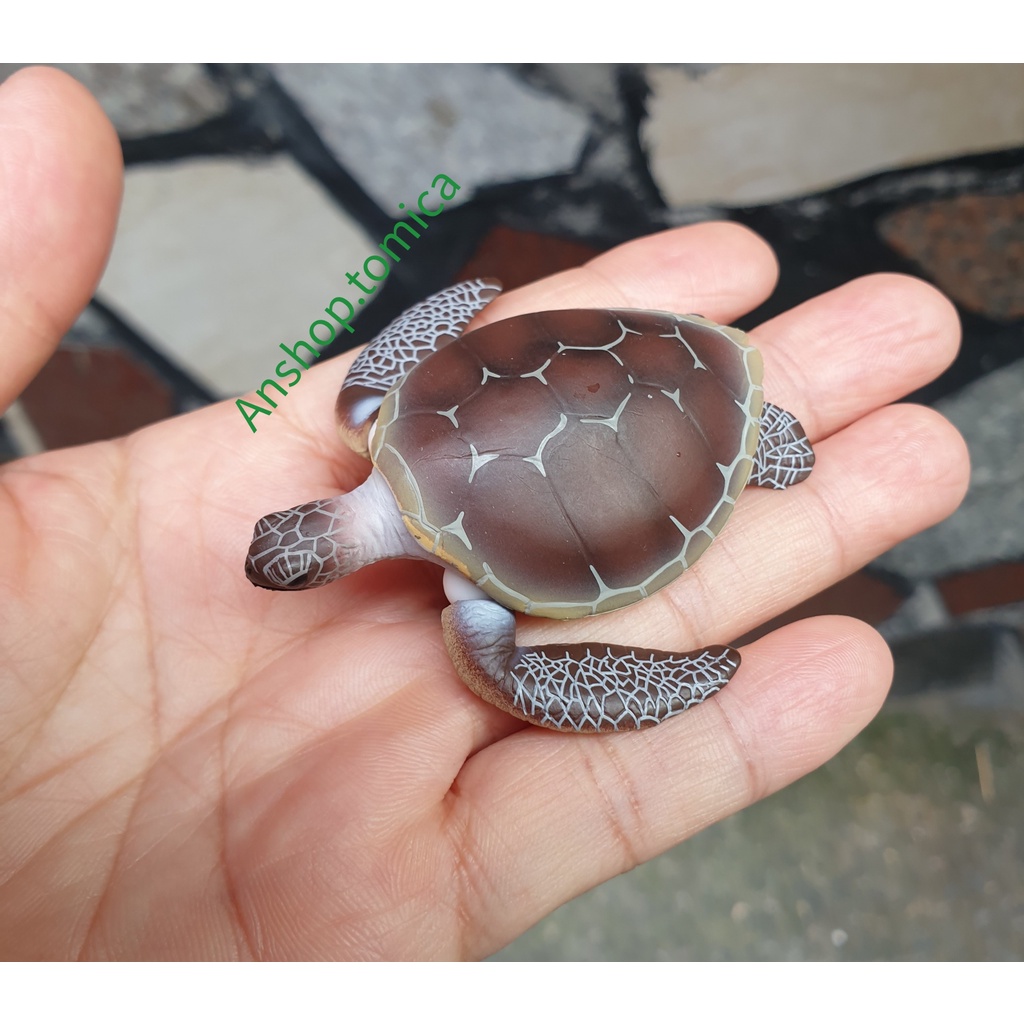 Đồ chơi cho bé - mô hình rùa biển hàng Tomy