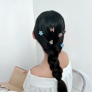 Set kẹp tóc hoa mini xinh xắn Modleaf Mini daisy set pin Hàn Quốc