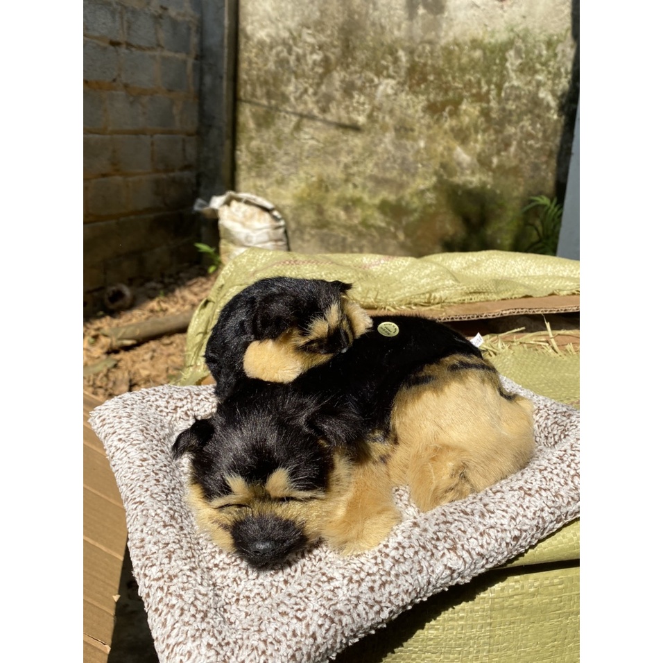 Mẹ Con Thú bông GIỐNG THẬT 99% chó mèo sói gấu lõi than hoạt tính lọc không khí khử mùi trang trí xe hơi