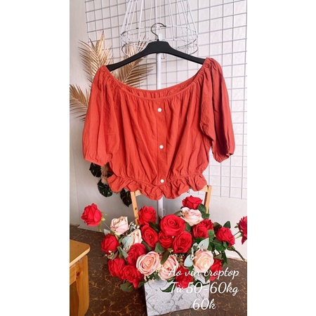 Áo vin dáng croptop