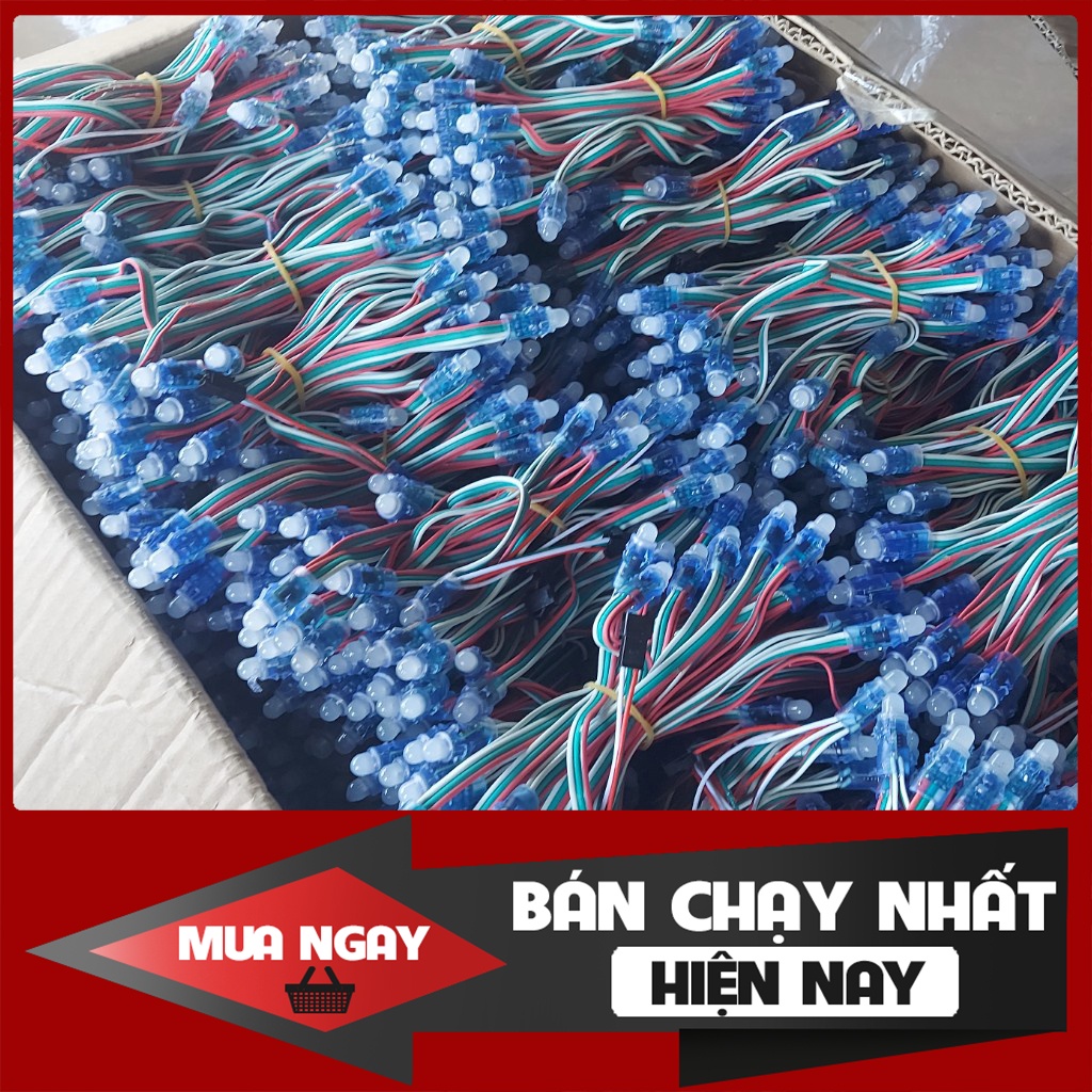 Led Đúc 1930, 2811 full màu chống nước, dây 50 bóng