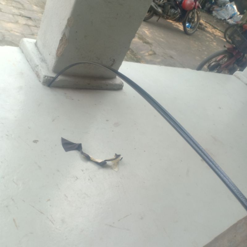 Nan diều cacbon giá rẻ