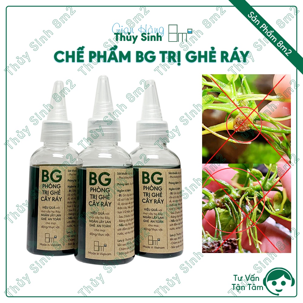 Chế Phẩm BG 8m2 | Phòng Diệt Ghẻ Cây Ráy Thủy Sinh - Ngăn Lây Ghẻ, Liền Sẹo, An Toàn, Hiệu Quả