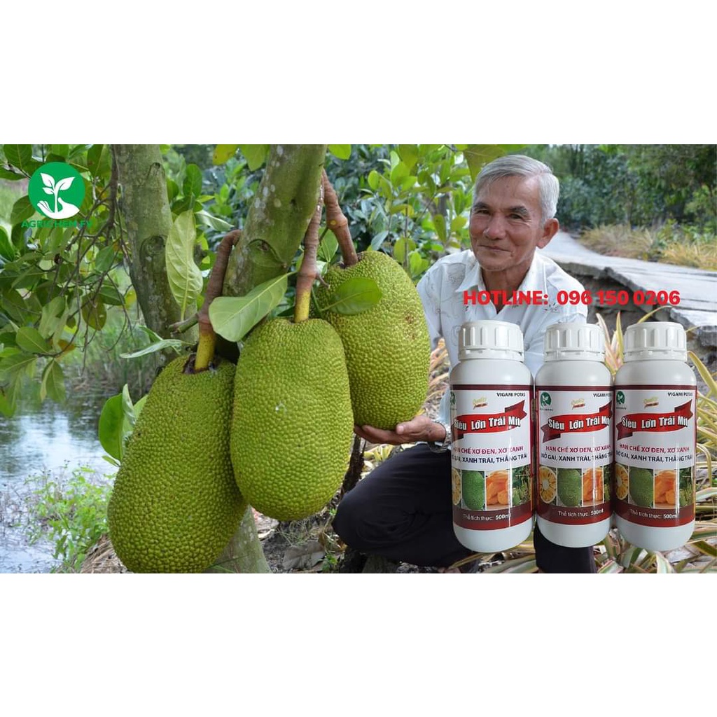 Siêu lớn trái Mít 500ml