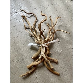 100g Lũa rễ rừng đã tách vỏ xử lý (loại tốt không ra nhớt)
