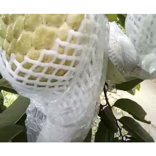 Xốp bọc trái cây size 15cm