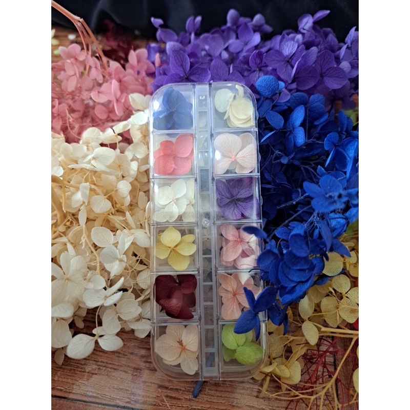 Hoa Khô Trang Trí Móng Tay Ẩn Gel