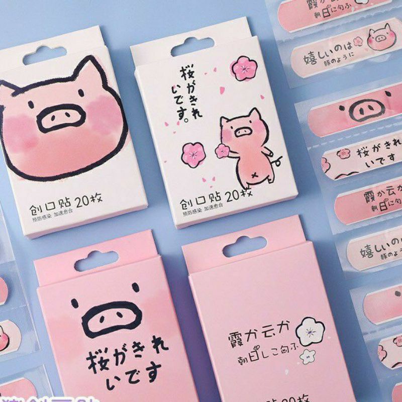 Hộp băng gâu cá nhân 20 chiếc nhiều hình đáng yêu cho bé