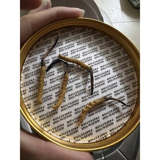 Đông trùng hạ thảo ( 1g )