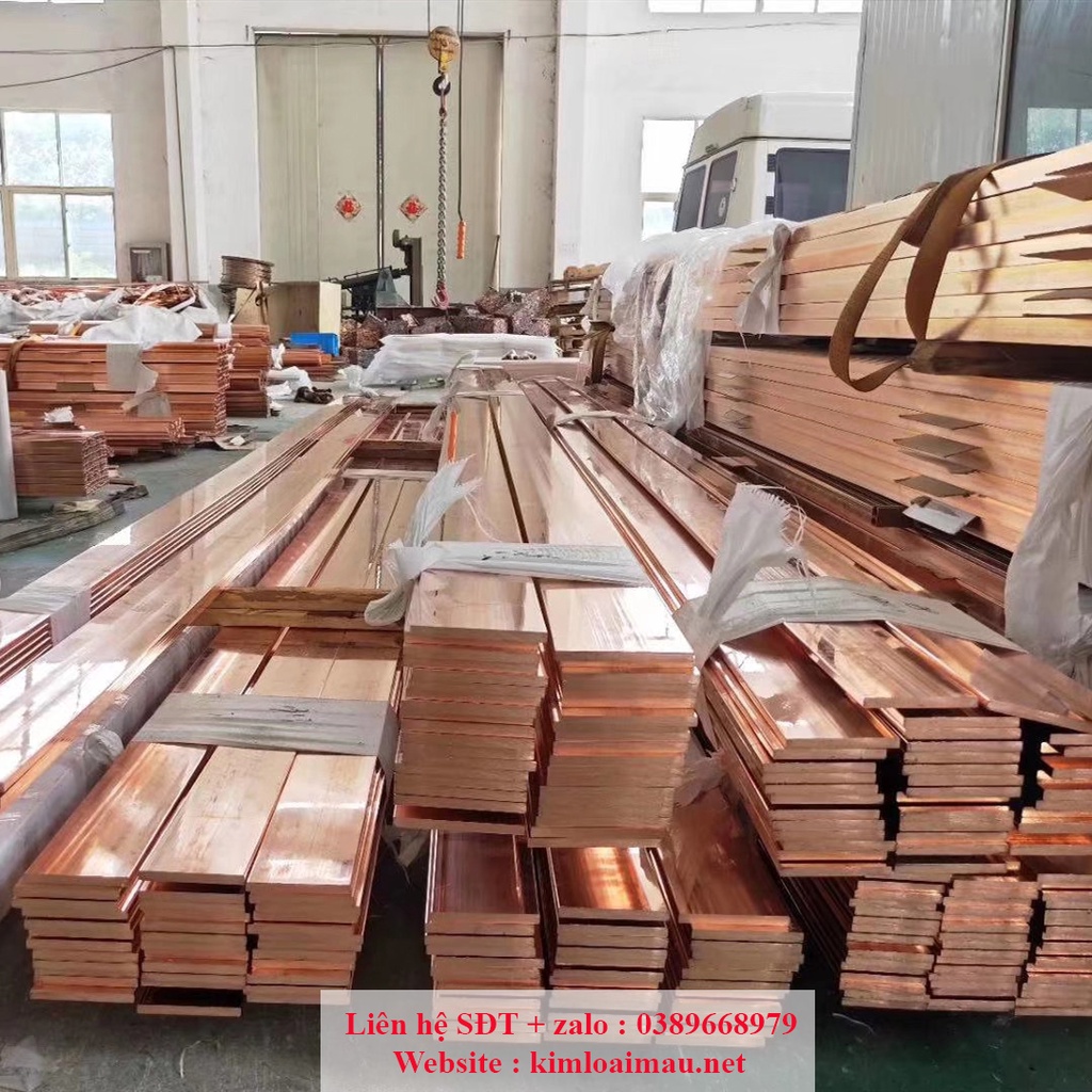 Đồng thanh cái 20x5 dài 1m