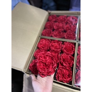 hoa Hồng trà 9 bông