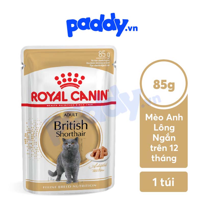 Pate Royal Canin British Shorthair Cho Mèo Anh Lông Ngắn Lớn 85g