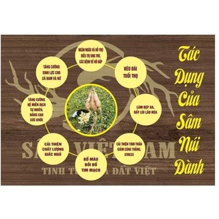 Cây giống sâm nam núi dành