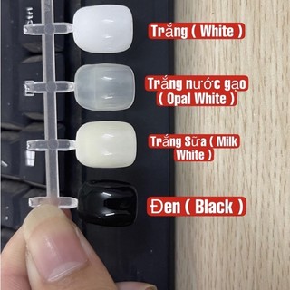 Sơn gel B281 lẻ màu (trắng,đen,trắng sữa,nước gạo,top trứng cút) Nữ