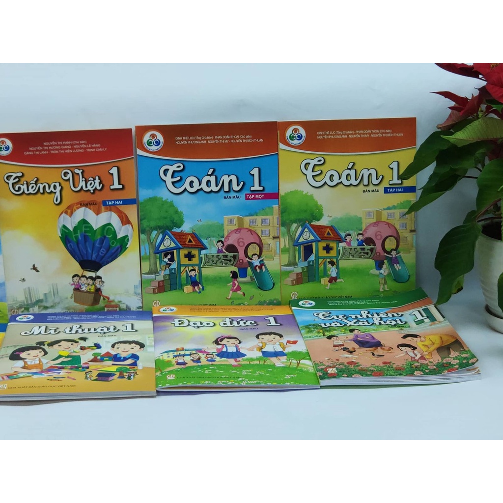 Sách - Hoạt động trải nghiệm lớp 1