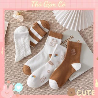Tất vớ cổ cao nữ gấu nâu