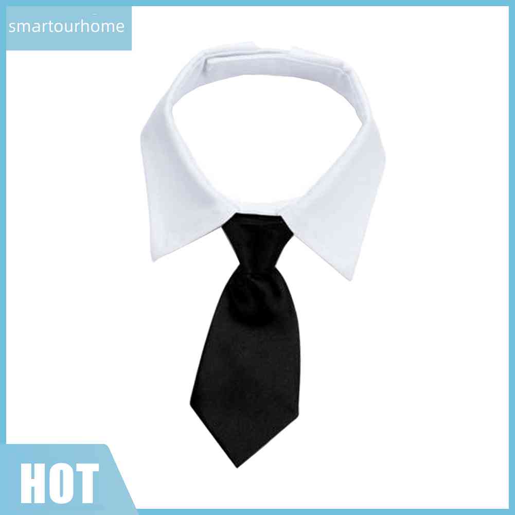 Cà Vạt Mèo Hóa Trang Có Thể Điều Chỉnh Kích Cỡ